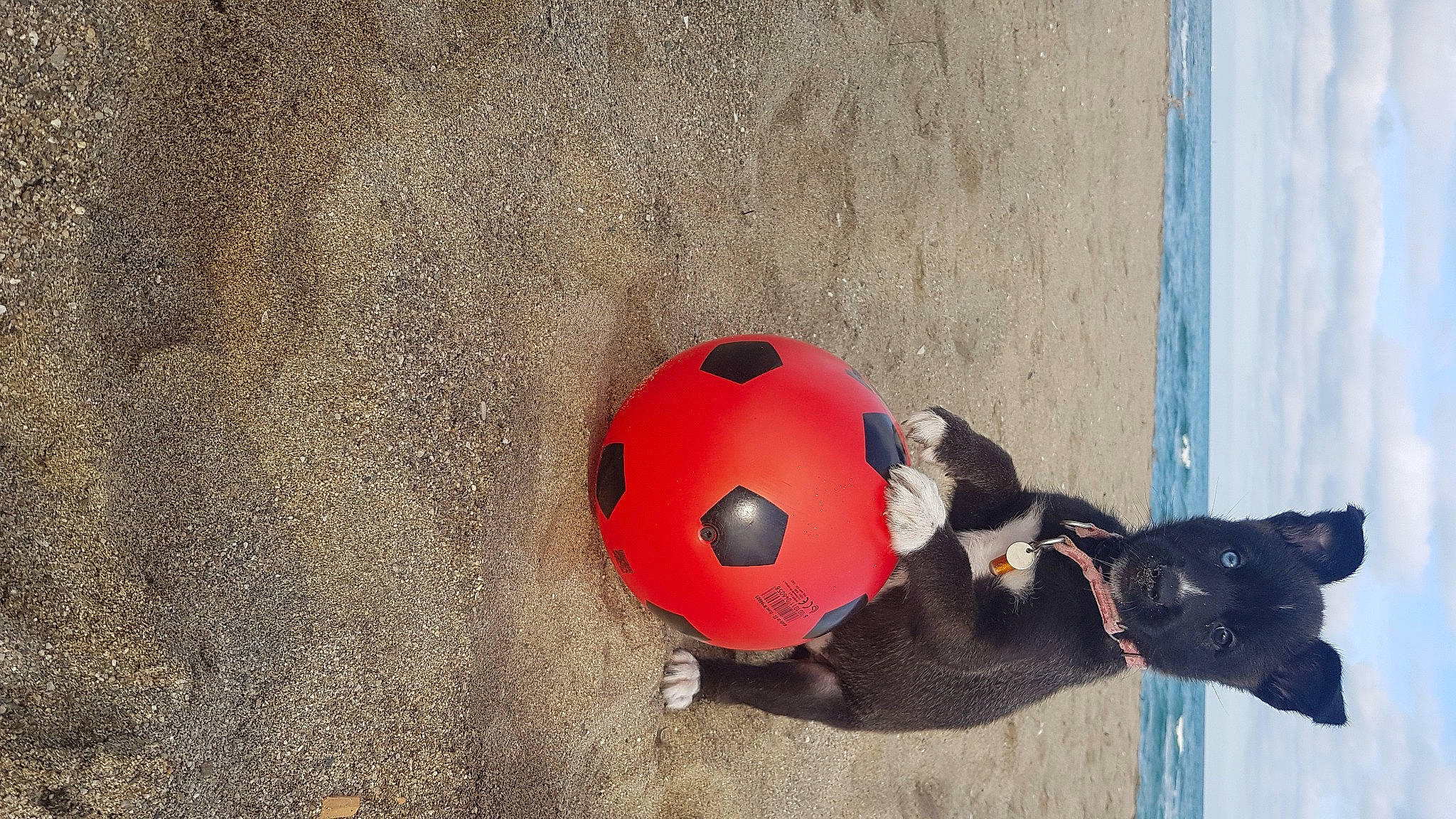 Lilith a rejoint le concours — aidez-le/la à gagner de superbes lots ! automotive_design, ball, beach, carmine, concrete, fashion_accessory, football, fun, headgear, leisure, personal_protective_equipment, recreation, soccer_ball, soil, sports_gear, sports_toy, toy, water, wheel, wood