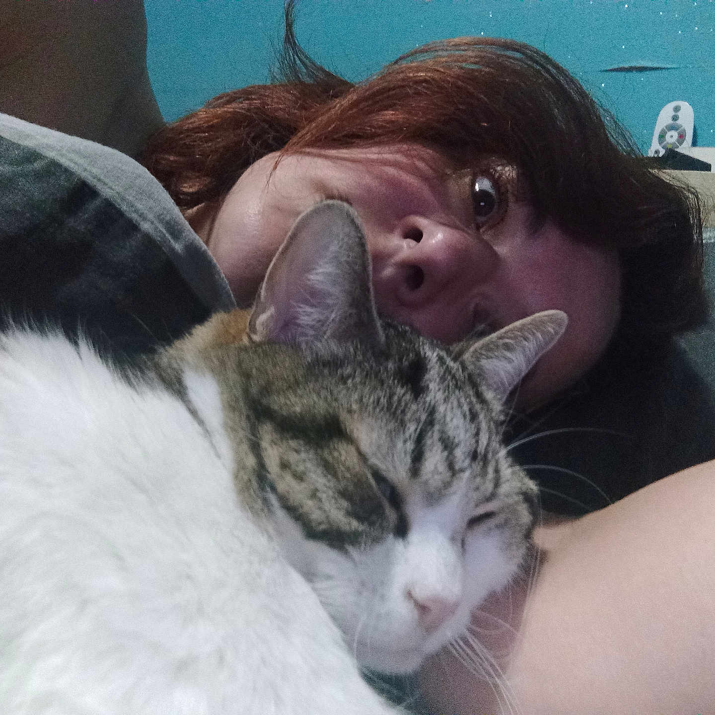 Plaisir a rejoint le concours — aidez-le/la à gagner de superbes lots ! bedroom, cat, closeup, comfort, cozy, eyes, face, fur, hair, home, indoor, person, pillow, relaxation, resting, skin, sleeping, tabby, wall, white
