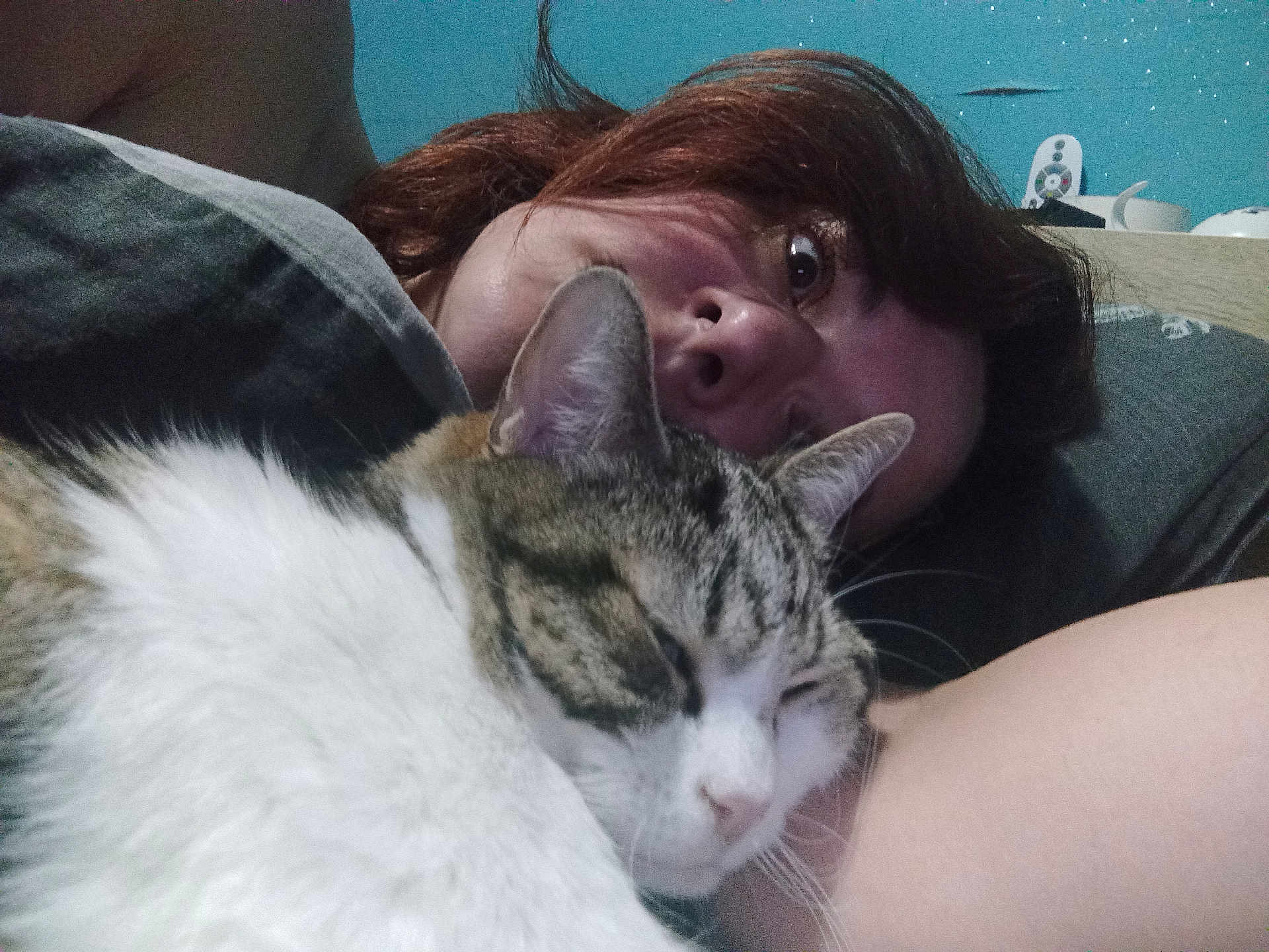 Plaisir a rejoint le concours — aidez-le/la à gagner de superbes lots ! person, cat, sleeping, resting, indoor, bedroom, fur, white, tabby, hair, skin, closeup, relaxation, cozy, pillow, wall, home, comfort, face, eyes