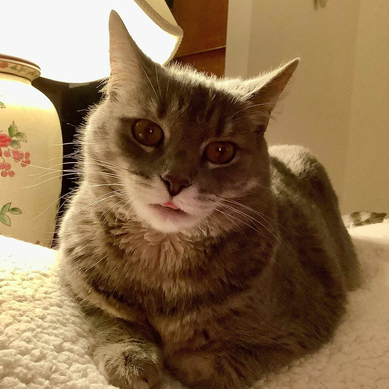 Lola