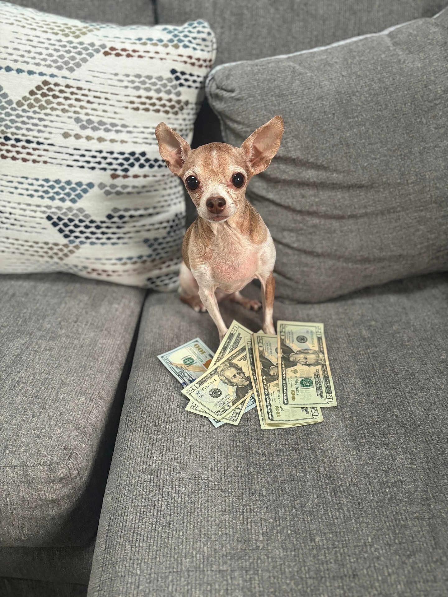 Peanut