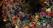 Gypsi joined the competition — help win amazing prizes! animal, black_dog, closeup, colorful, curious, cute, decorations, dog, elderly_hand, festive, hand, holiday, indoor, pet, quilt, shiny, small_dog, sparkle, tinsel, wreath