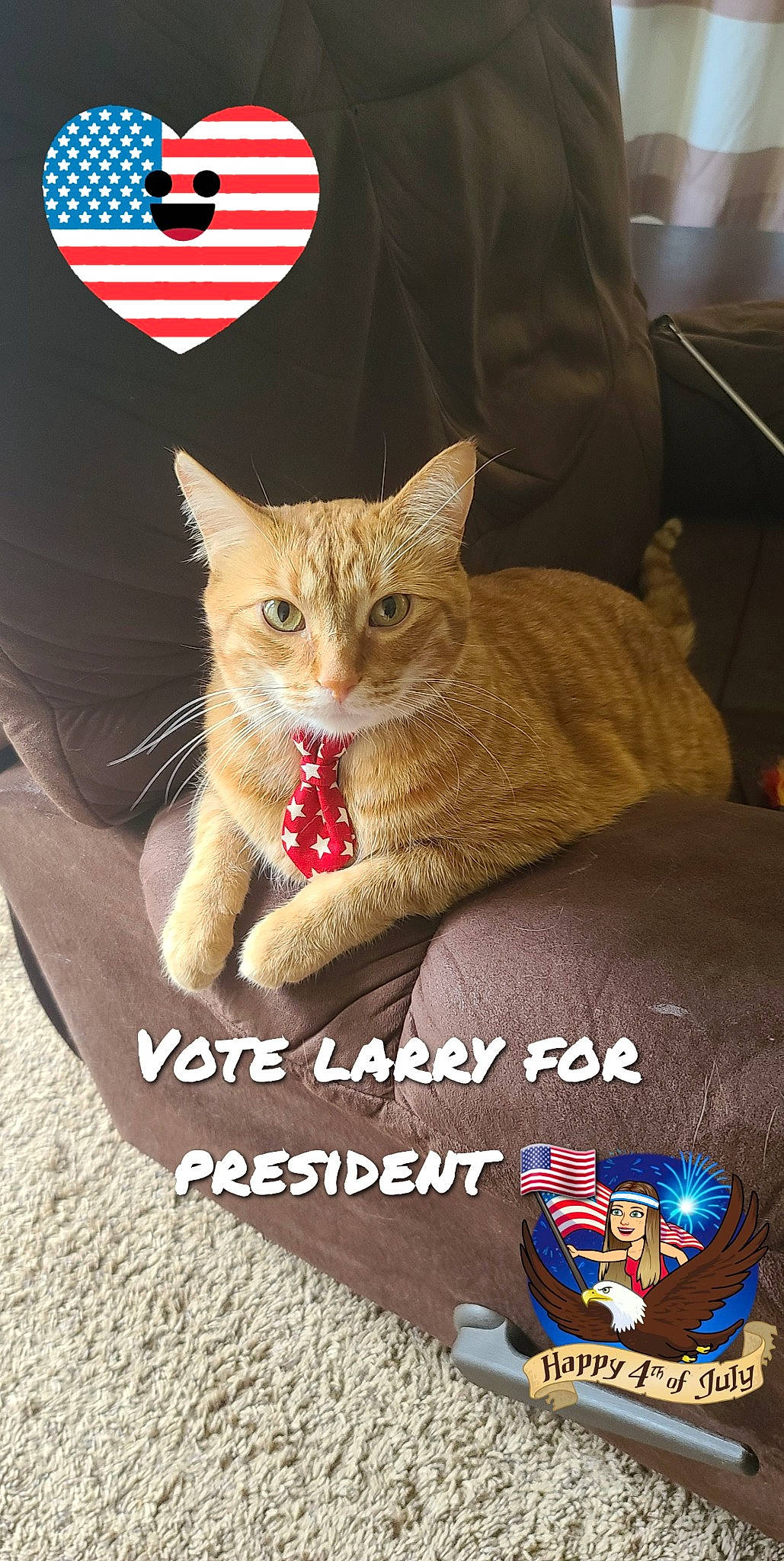 Larry joined the competition — help win amazing prizes! carnivore, cat, cat_supply, claw, couch, domestic_short_haired_cat, fashion_accessory, fawn, felidae, font, fur, gesture, logo, paw, photo_caption, sitting, small_to_medium_sized_cats, snout, tail, whiskers