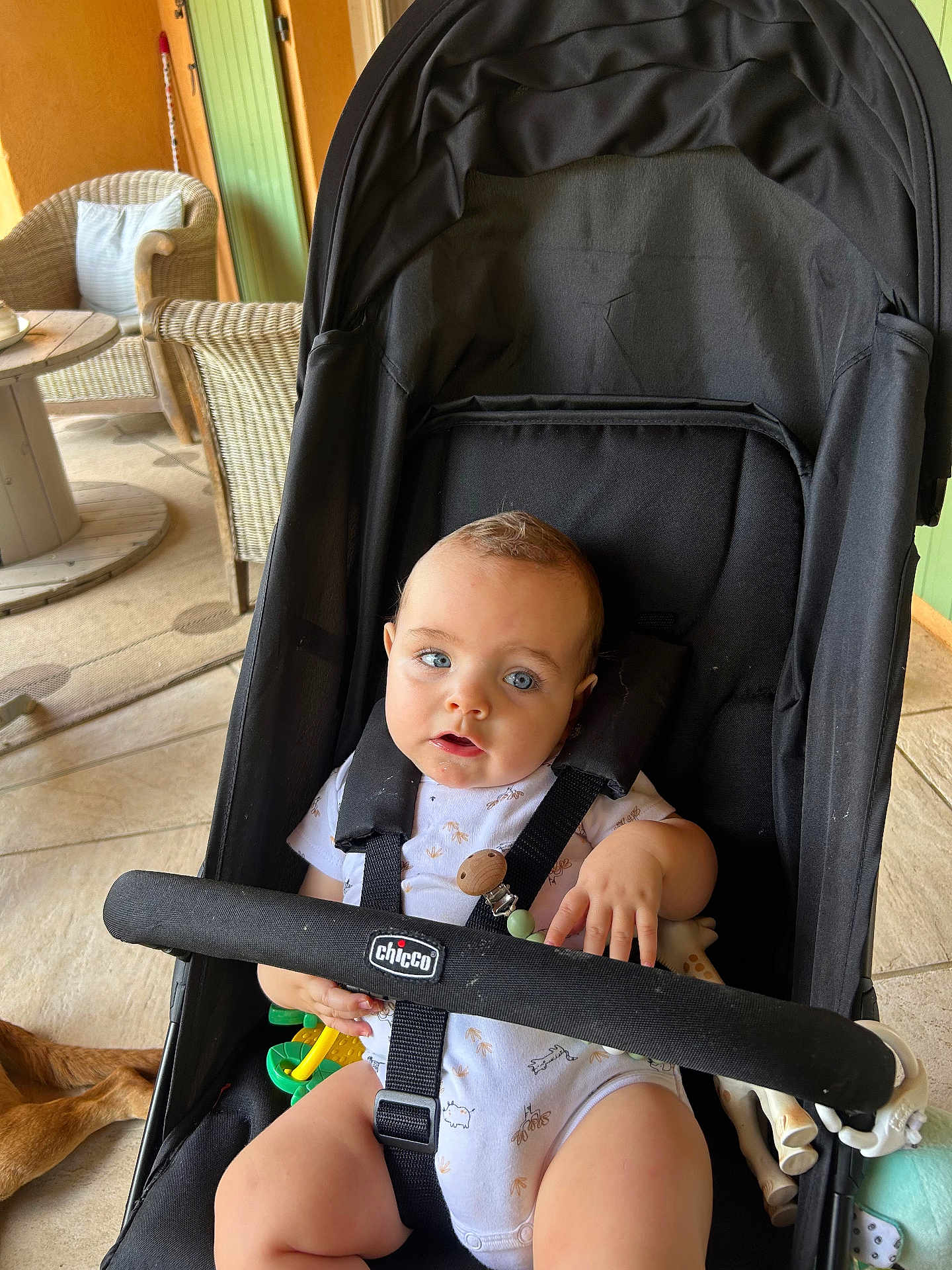 Andréa a rejoint le concours — aidez-le/la à gagner de superbes lots ! baby, stroller, child, blue_eyes, toy, giraffe, black_stroller, outdoor, patio, wicker_chair, table, floor, clothing, infant, person, seatbelt, curious, cute, sitting, daylight