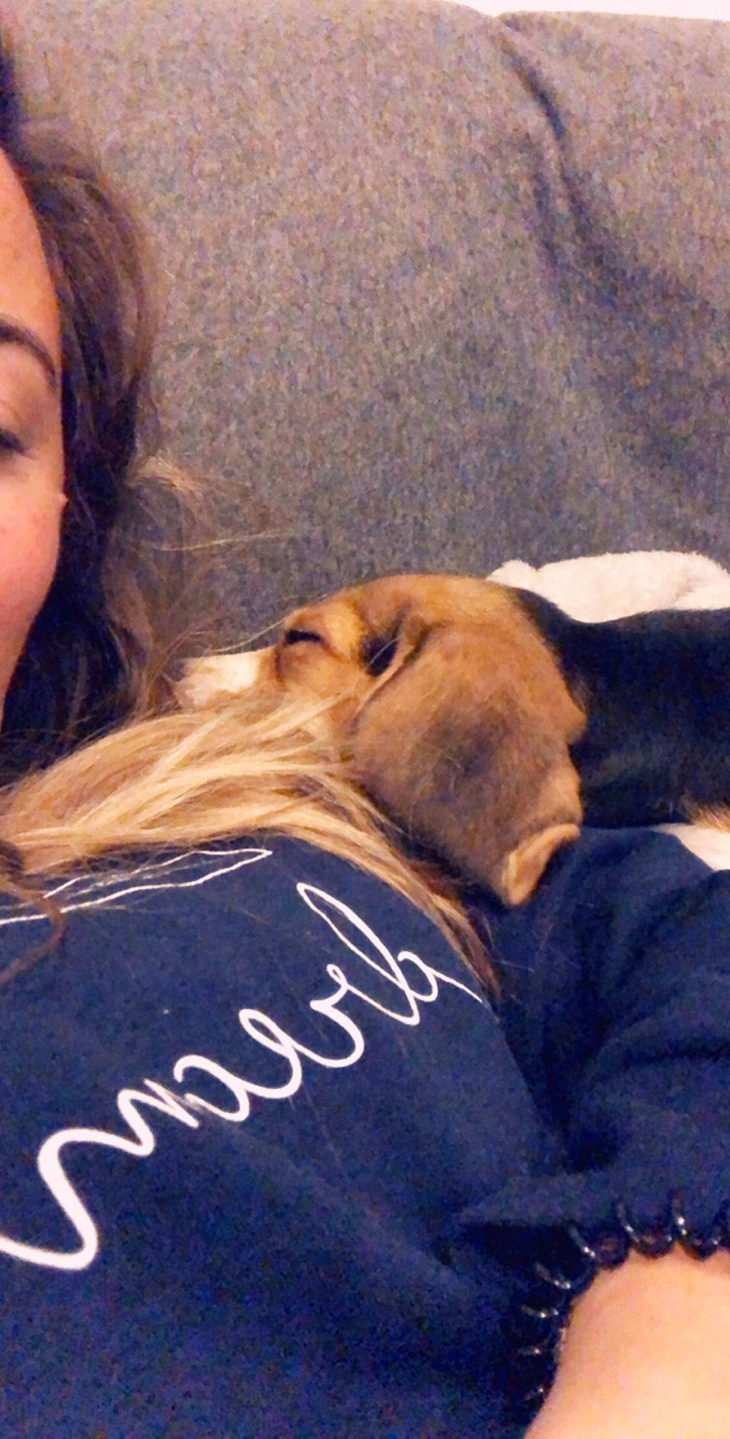 Onaya participe au concours pour gagner de l'argent avec cette photo : canidae, carnivore, companion_dog, dog, dog_breed, fawn, nap, puppy, puppy_love, sleep