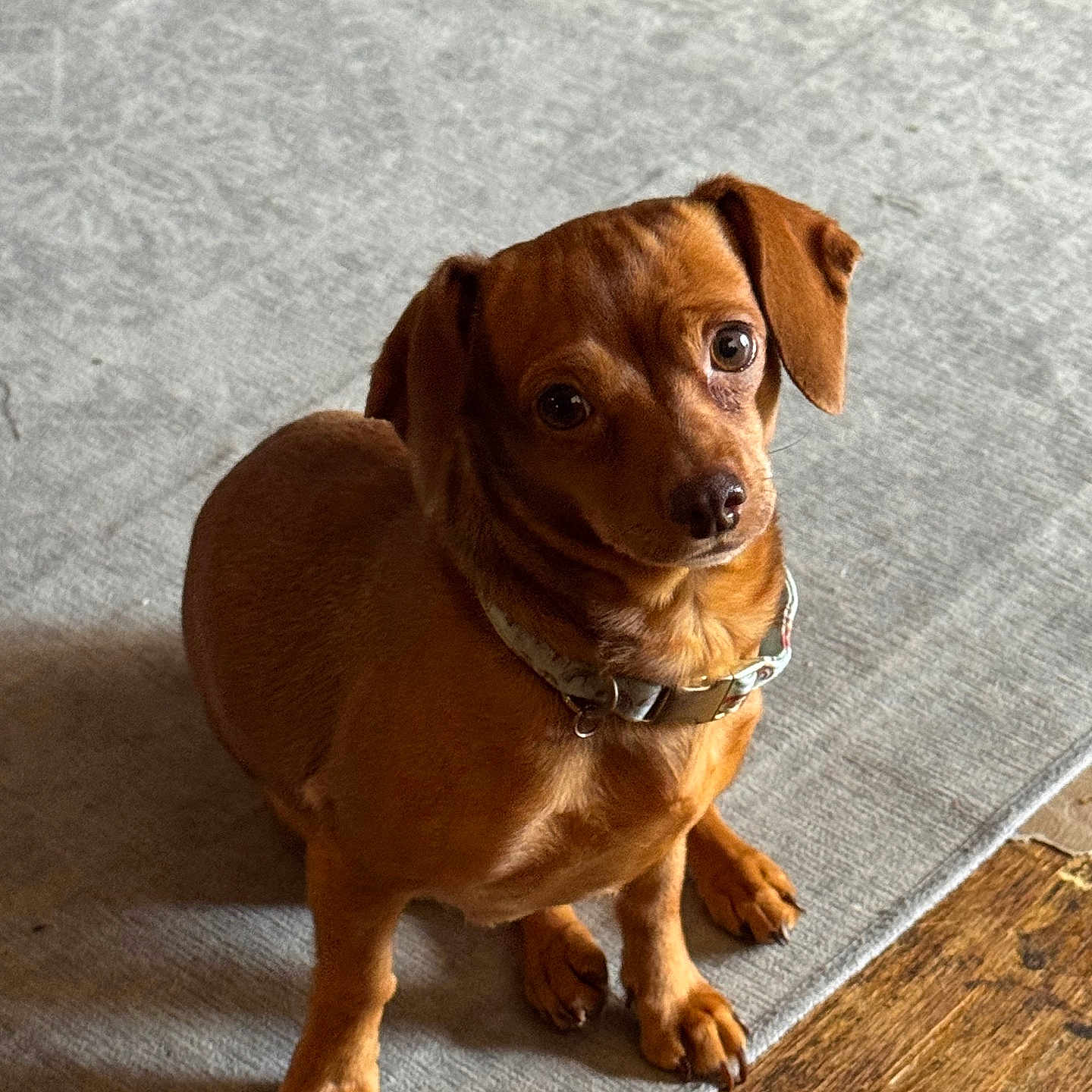 Lulu