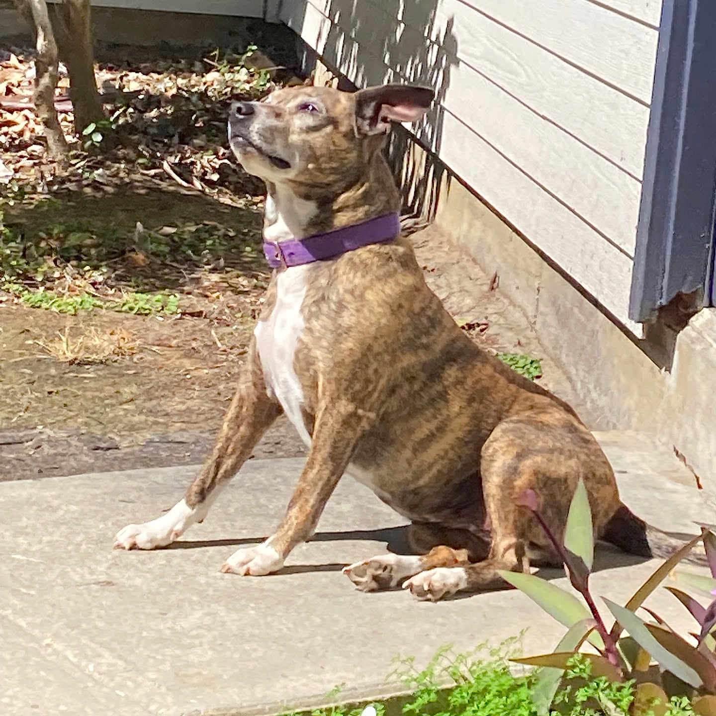 Fiona