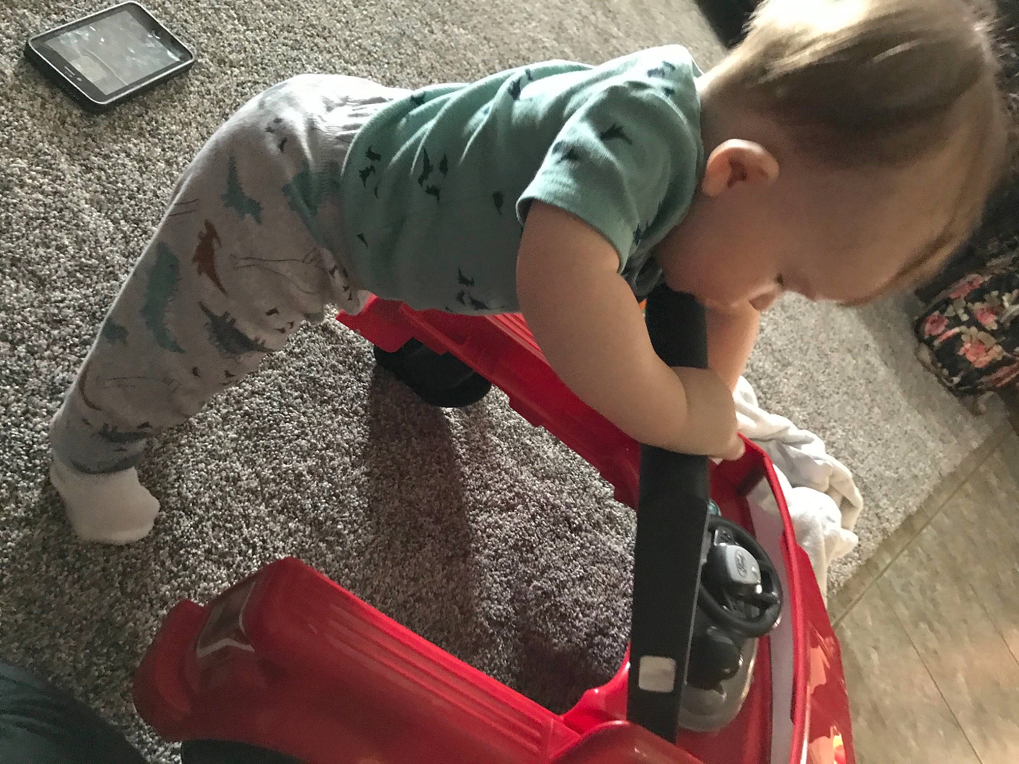 Colt is registered to the contest to win money with this photo: asphalt, automotive_lighting, baby, bag, carmine, child, flooring, fun, grass, hood, human_leg, joint, knee, luggage_and_bags, pattern, person, shorts, sitting, t_shirt, thigh