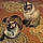 Mr Man And Fuzzybutt