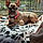 Emmy Lou