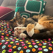 Oakley is registered to the contest to win money with this photo: cat, calico_cat, sleeping, lying_down, paws, whiskers, fur, tricolor, indoor, couch, blanket, colorful, polka_dots, crocheted_pillow, cozy, relaxed, cute, pet, portrait, home