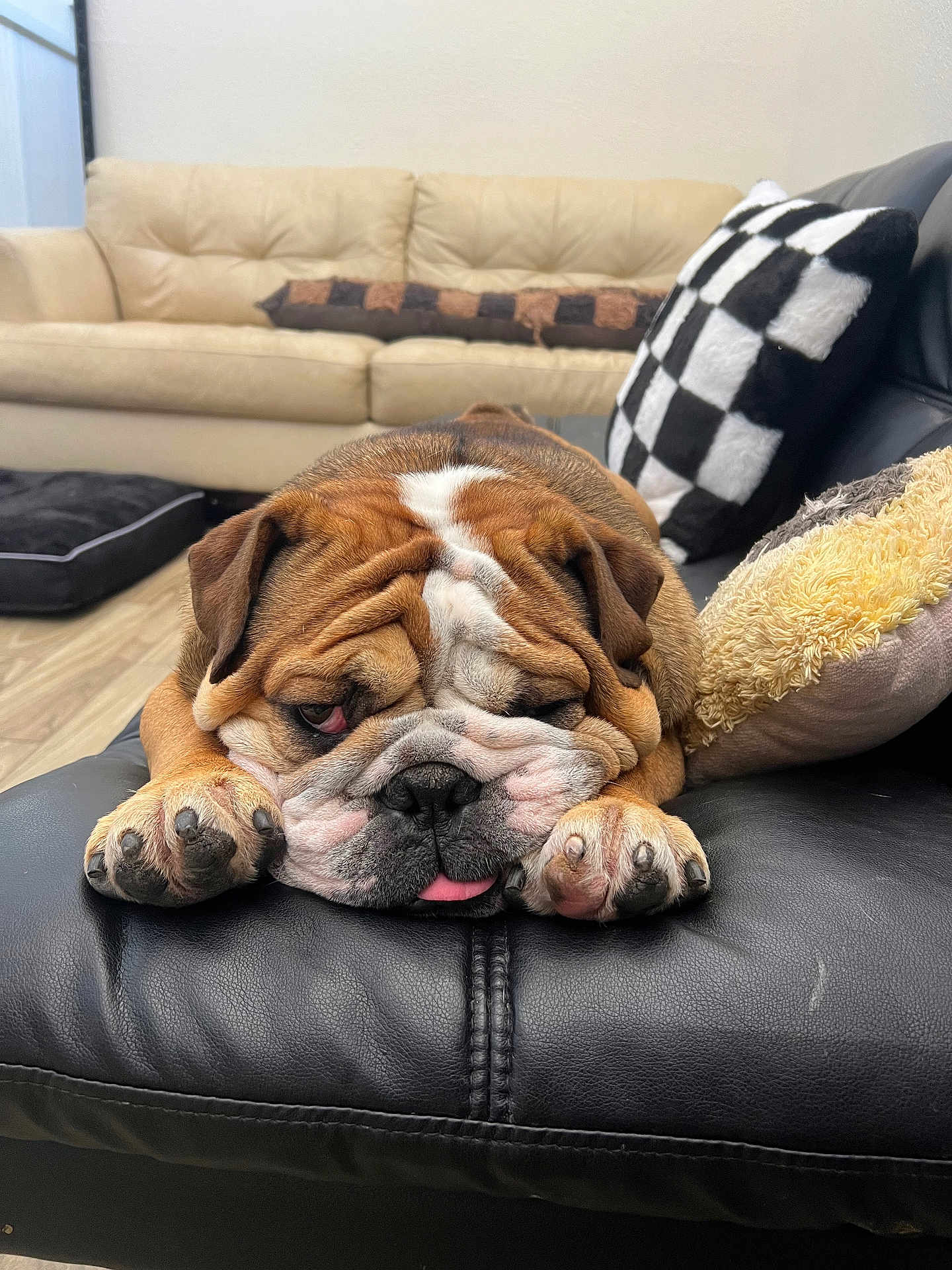 Bowser