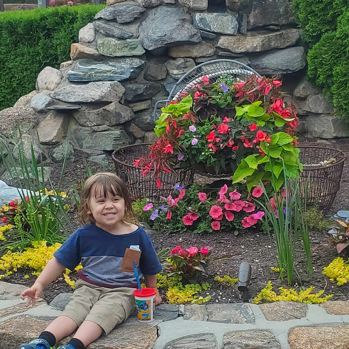Jax is registered to the contest to win money with this photo: child, smiling, outdoor, flower_bed, stone_wall, greenery, plant, cup, shoes, shorts, tshirt, garden, nature, sunlight, happy, portrait, casual, young_child, colorful, daytime