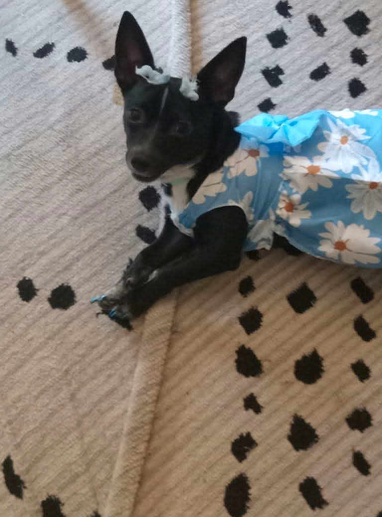 Tilly