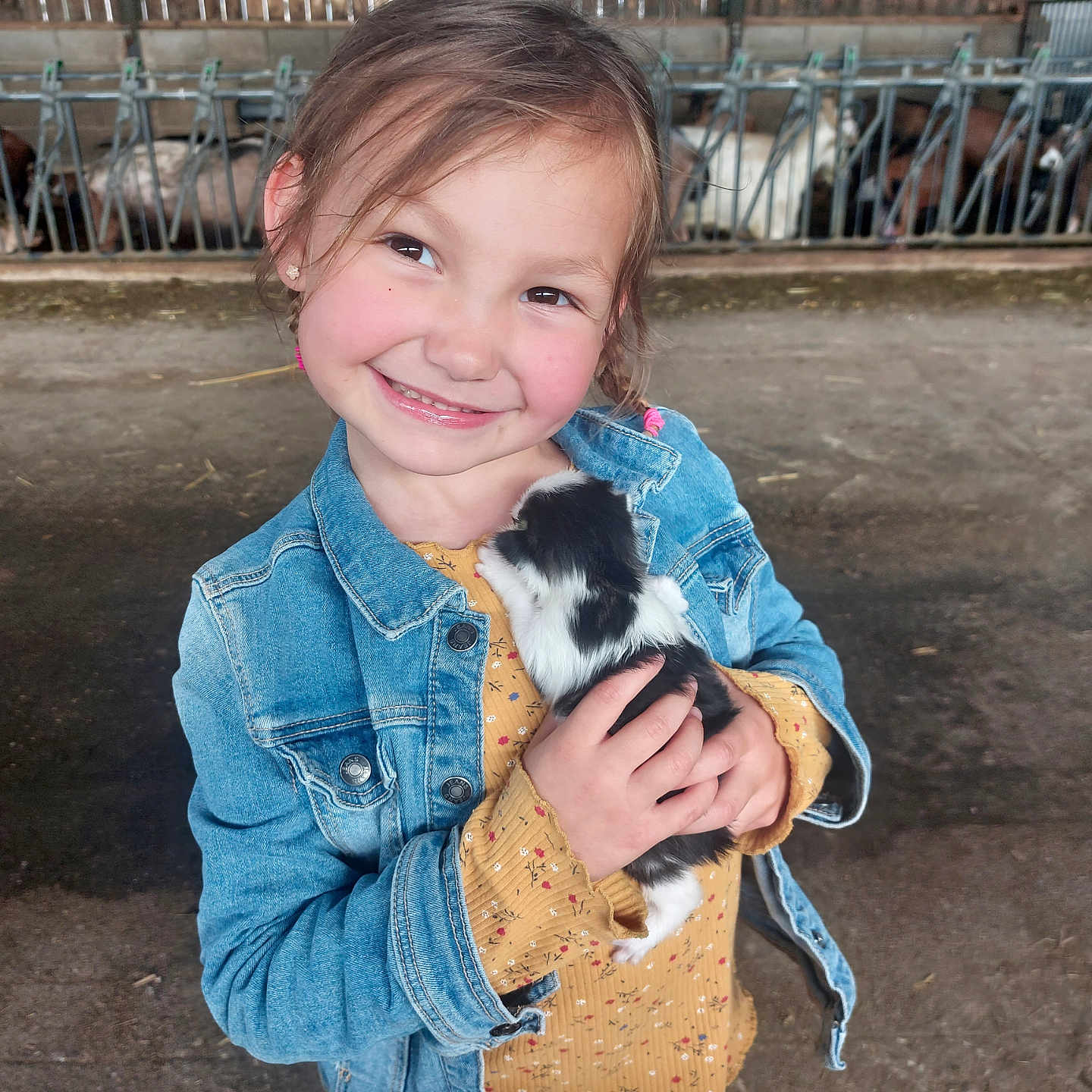 Manon a rejoint le concours — aidez-le/la à gagner de superbes lots ! animal, canine, child, clothing, coat, dog, face, female, girl, happy, head, jacket, jeans, pants, person, pet, photography, portrait, puppy, smile