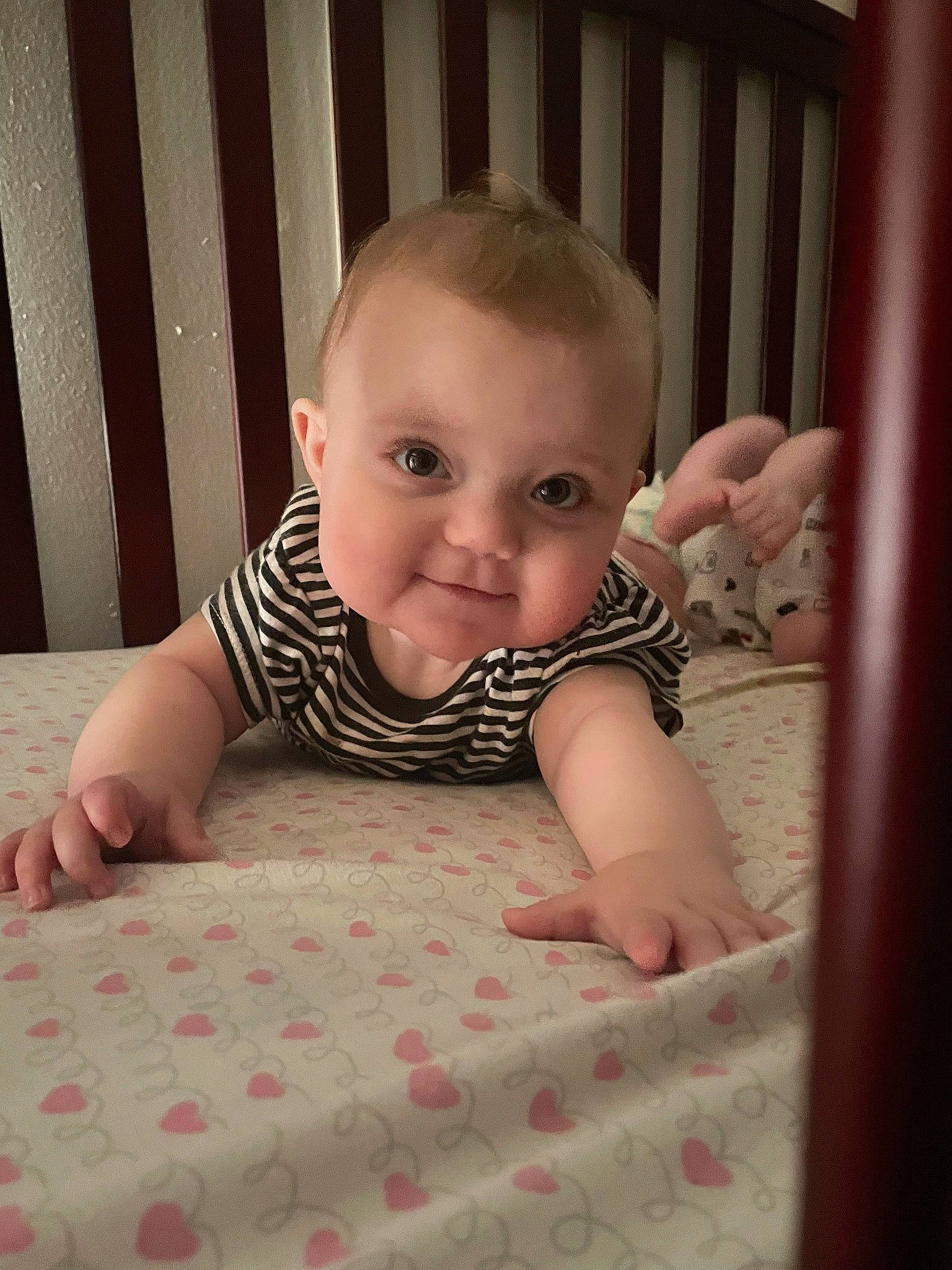 Silvia is registered to the contest to win money with this photo: baby, baby_crawling, baby_toddler_clothing, cheek, comfort, dress, eye, face, finger, flooring, head, iris, joy, mouth, nose, person, product, skin, sleeve, smile