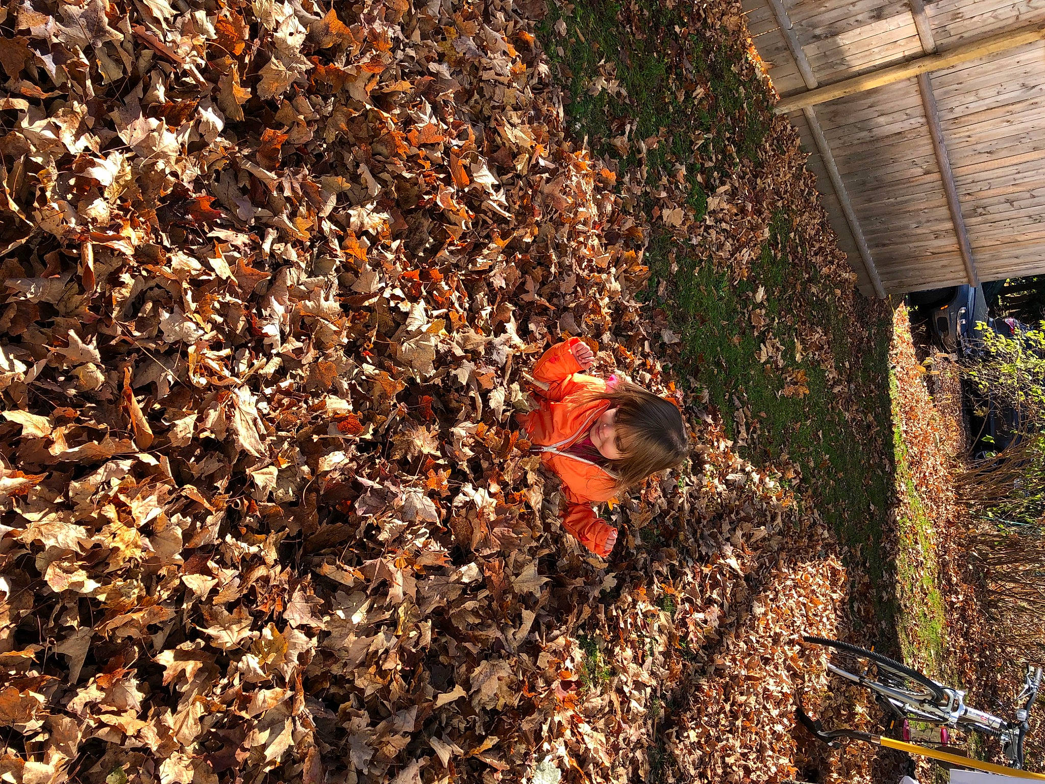 Savanna joined the competition — help win amazing prizes! asphalt, brick, city, deciduous, event, grass, groundcover, joy, landscape, metal, people_in_nature, person, rock, roof, shadow, shrub, soil, tints_and_shades, trunk, twig