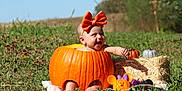 Kenadi is registered to the contest to win money with this photo: baby, pumpkin, orange_bow, grass, outdoor, hay_bale, toy, mickey_mouse, autumn, smiling, child, cute, festive, nature, sunlight, hollow_pumpkin, playful, holiday, decoration, field