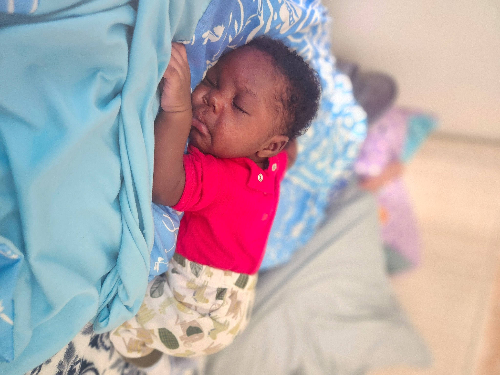 Wisdom joined the competition — help win amazing prizes! baby, baby_products, baby_toddler_clothing, bedtime, cap, child, comfort, event, fun, fur, happy, leisure, linens, person, room, sitting, textile, toddler, tradition, vacation