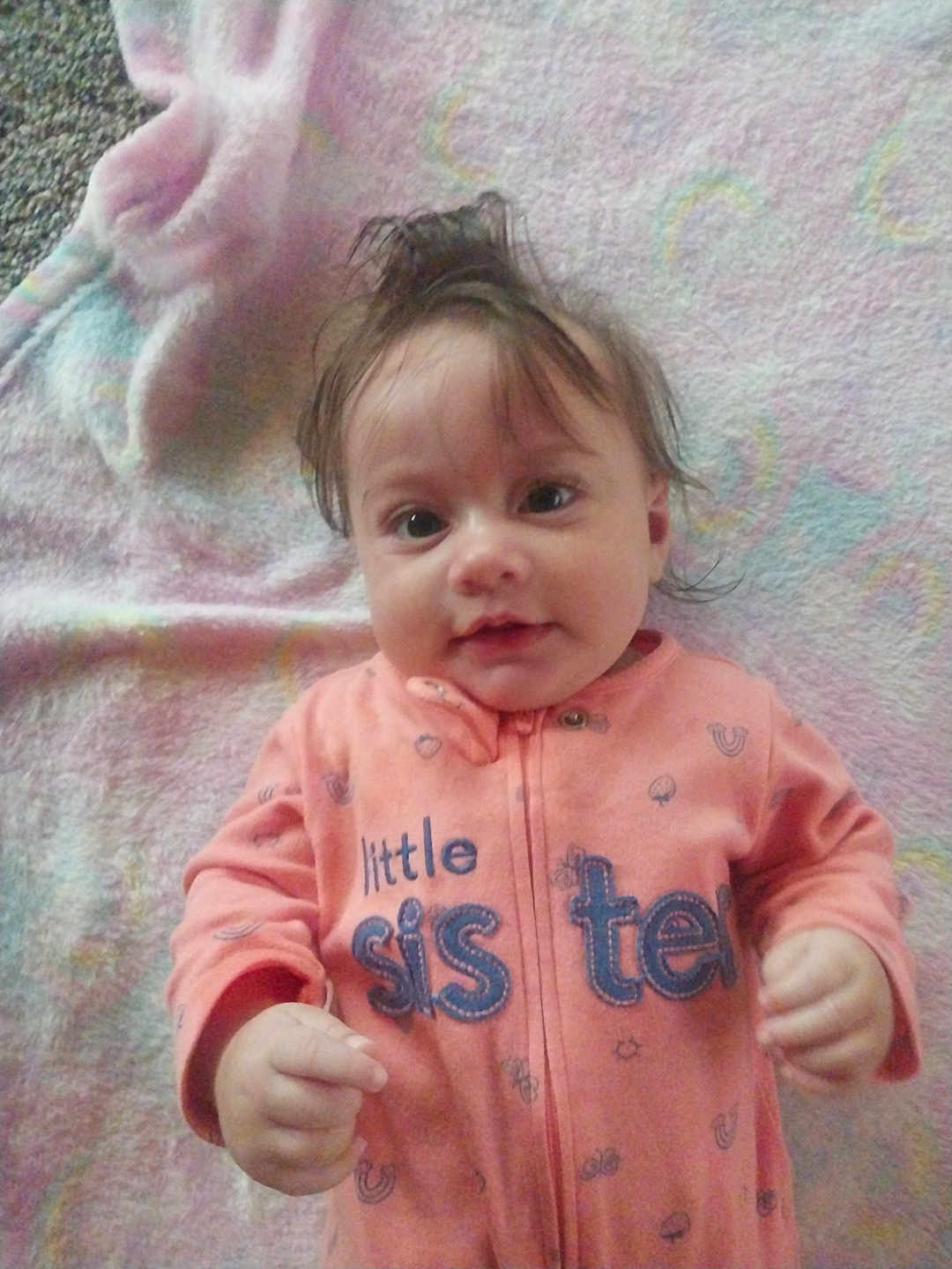 Sofia