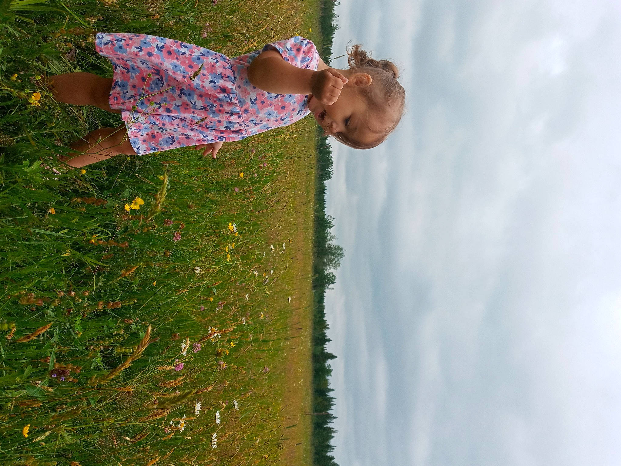 Élya a rejoint le concours — aidez-le/la à gagner de superbes lots ! agriculture, cloud, flower, fun, grass, grass_family, grassland, happy, landscape, leaf, leisure, pattern, people_in_nature, person, plant, prairie, sky, toddler, tree, white