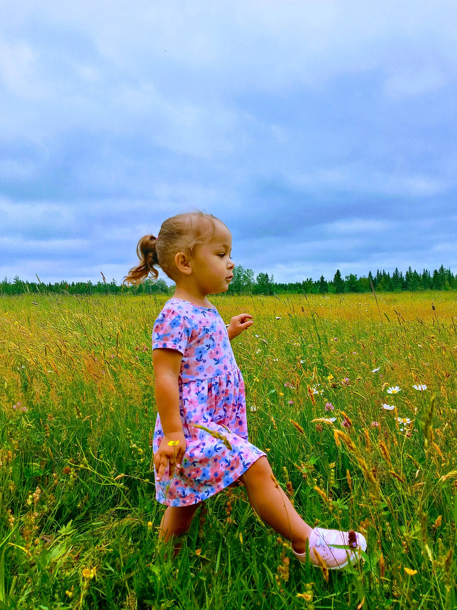 Élya a rejoint le concours — aidez-le/la à gagner de superbes lots ! baby_toddler_clothing, beauty, cloud, facial_expression, field, flower, grass, grass_family, grassland, happy, meadow, natural_landscape, people_in_nature, person, plain, plant, prairie, sky, summer, sunlight