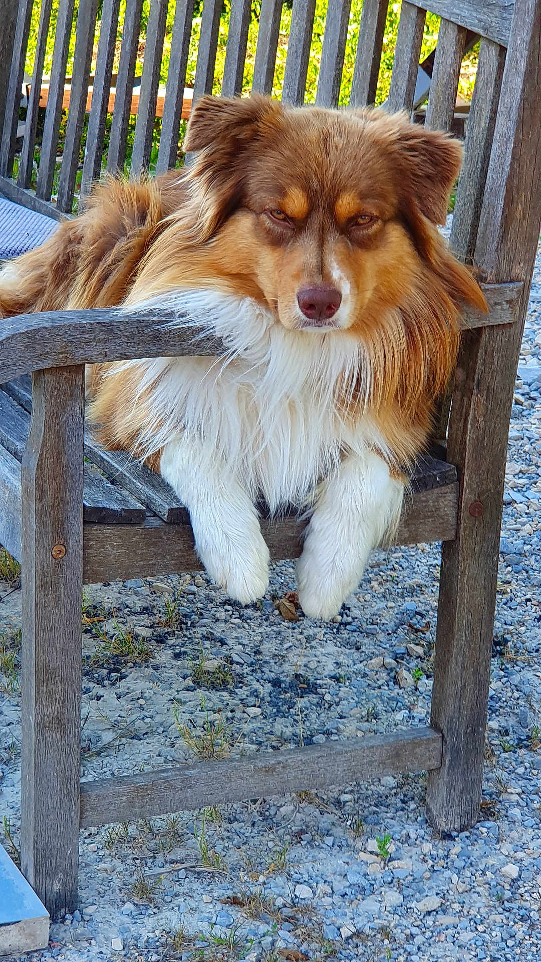 Rocky