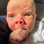 Logan is registered to the contest to win money with this photo: baby, newborn, infant, face, blue_eyes, hand, fist, finger, mouth, nose, close_up, portrait, onesie, swaddle, avocado_pattern, skin, eyelashes, forehead, cheek, curious_expression