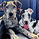 Stella And Jasper