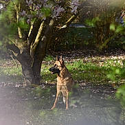 Suki participe au concours pour gagner de l'argent avec cette photo :