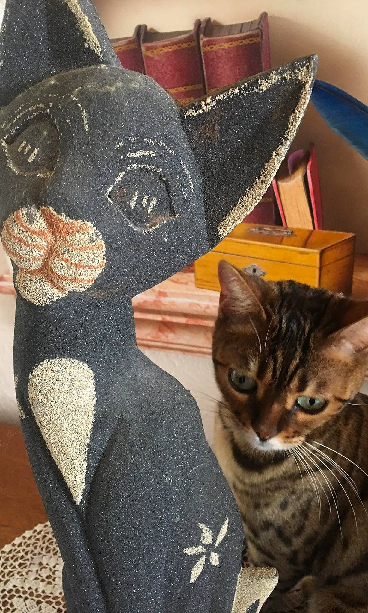 Praline participe au concours pour gagner de l'argent avec cette photo : art, artifact, carmine, carnivore, cat, comfort, creative_arts, domestic_short_haired_cat, fashion_accessory, felidae, fur, mammal, pattern, sculpture, small_to_medium_sized_cats, snout, tail, vertebrate, whiskers, window