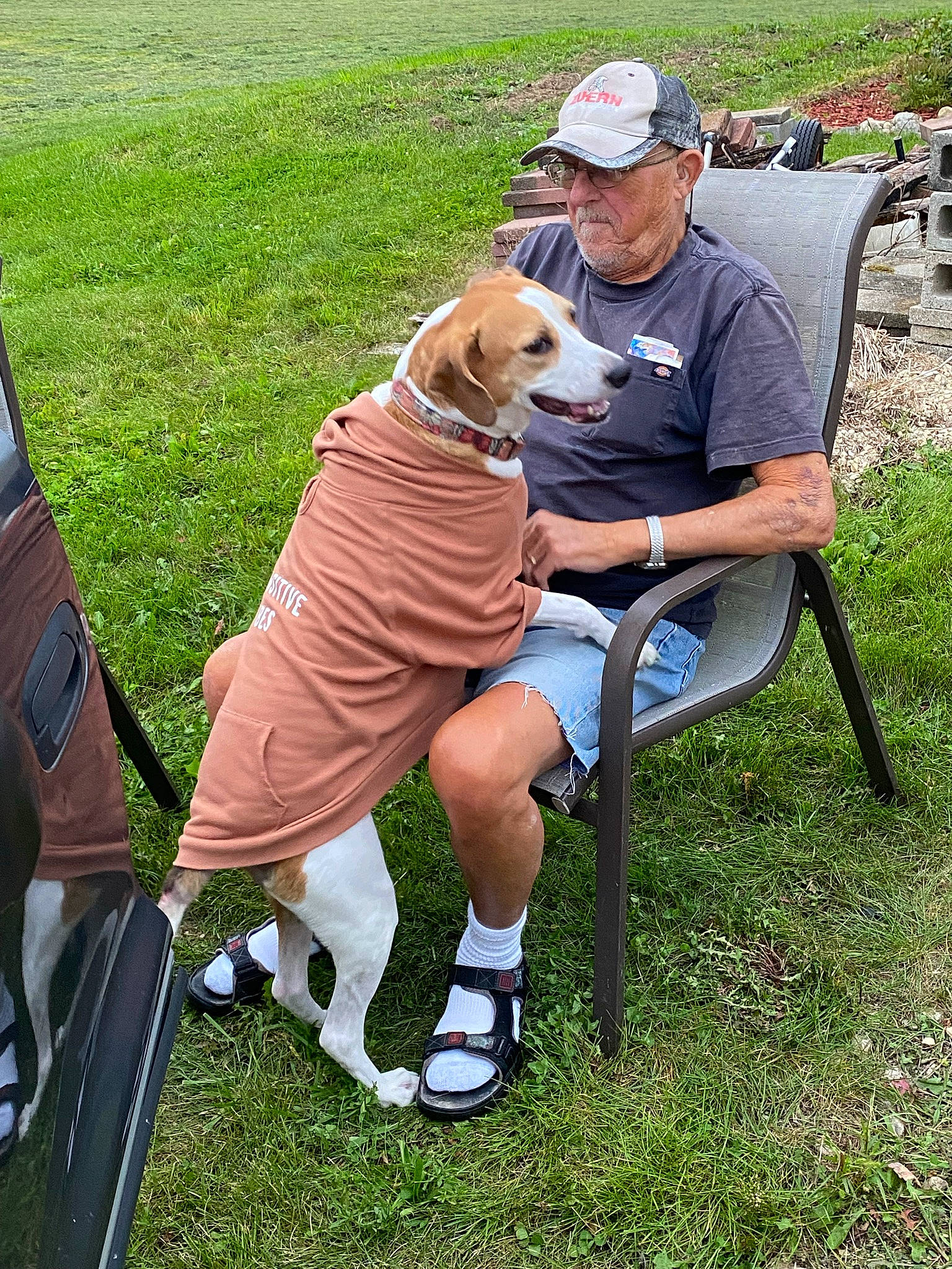 Meisha joined the competition — help win amazing prizes! belt, carnivore, chair, companion_dog, dog, dog_breed, fawn, grass, hat, lap, lawn, leash, leisure, plant, recreation, shoe, sneakers, sporting_group, tail, working_animal