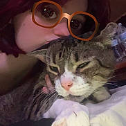 Tiger is registered to the contest to win money with this photo: person, cat, tabby_cat, glasses_filter, indoor, close_up, cuddle, pet, sleepy, hand, face, fur, whiskers, bed, blanket, comfort, relaxation, cute, animal, friendly