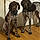 Remi And Chester