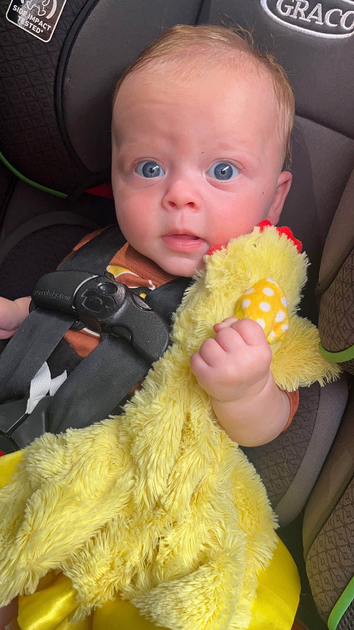 Link is registered to the contest to win money with this photo: baby, baby_products, baby_safety, baby_toddler_clothing, car_seat, cheek, child, comfort, finger, fun, fur, iris, nail, person, sitting, skin, stuffed_toy, thumb, toddler, toy