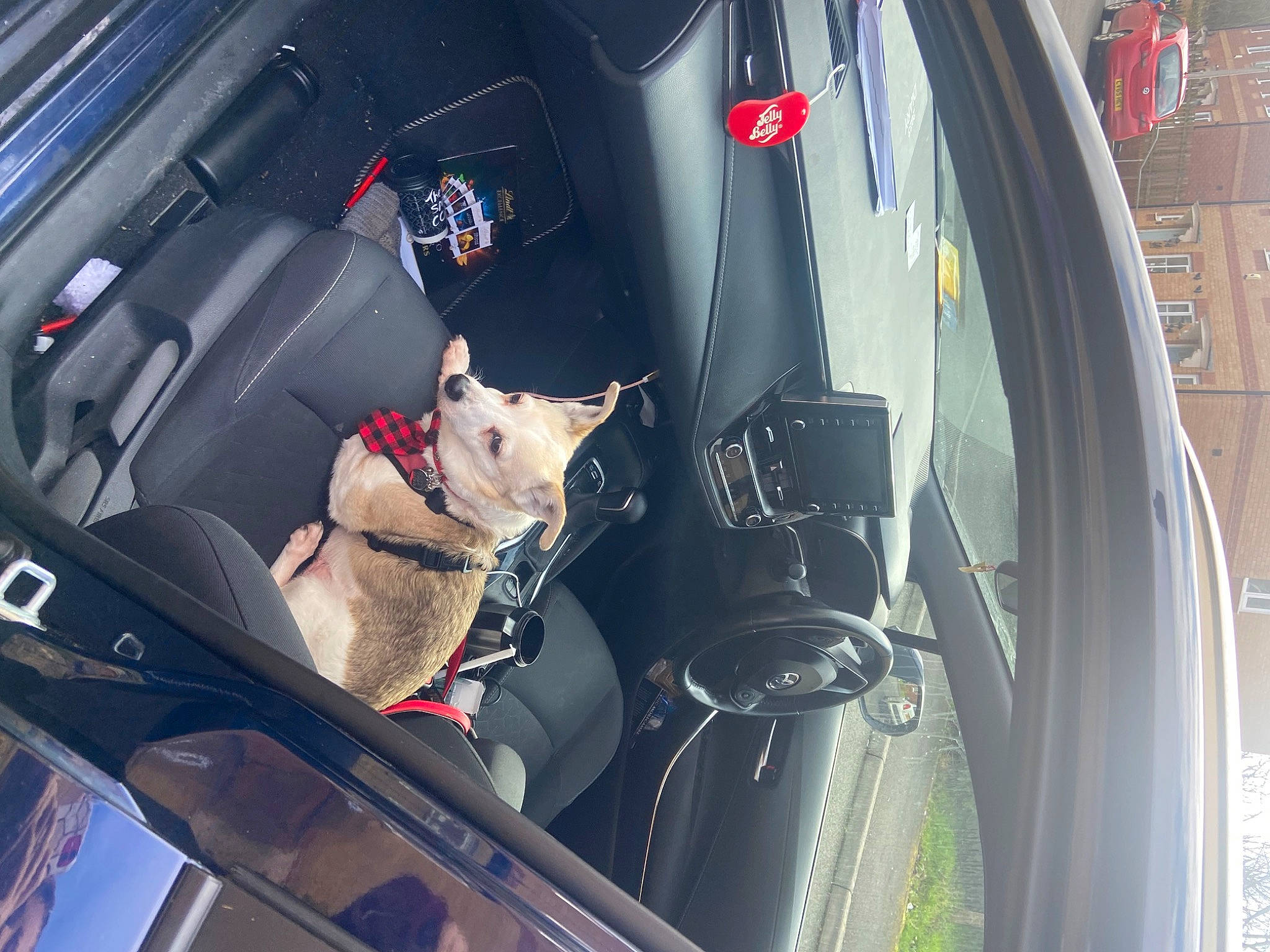 Rocky joined the competition — help win amazing prizes! auto_part, automotive_design, automotive_exterior, automotive_lighting, automotive_window_part, car, car_seat, car_seat_cover, carnivore, family_car, hood, luxury_vehicle, mode_of_transport, motor_vehicle, personal_luxury_car, seat_belt, trunk, vehicle, vehicle_door, window