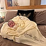 Amari-Alexander is registered to the contest to win money with this photo: newborn, baby, blanket, sleeping, couch, pillow, indoor, mirror, decor, knitted, soft, cozy, infant, bedroom, peaceful, resting, child, fabric, warm, portrait