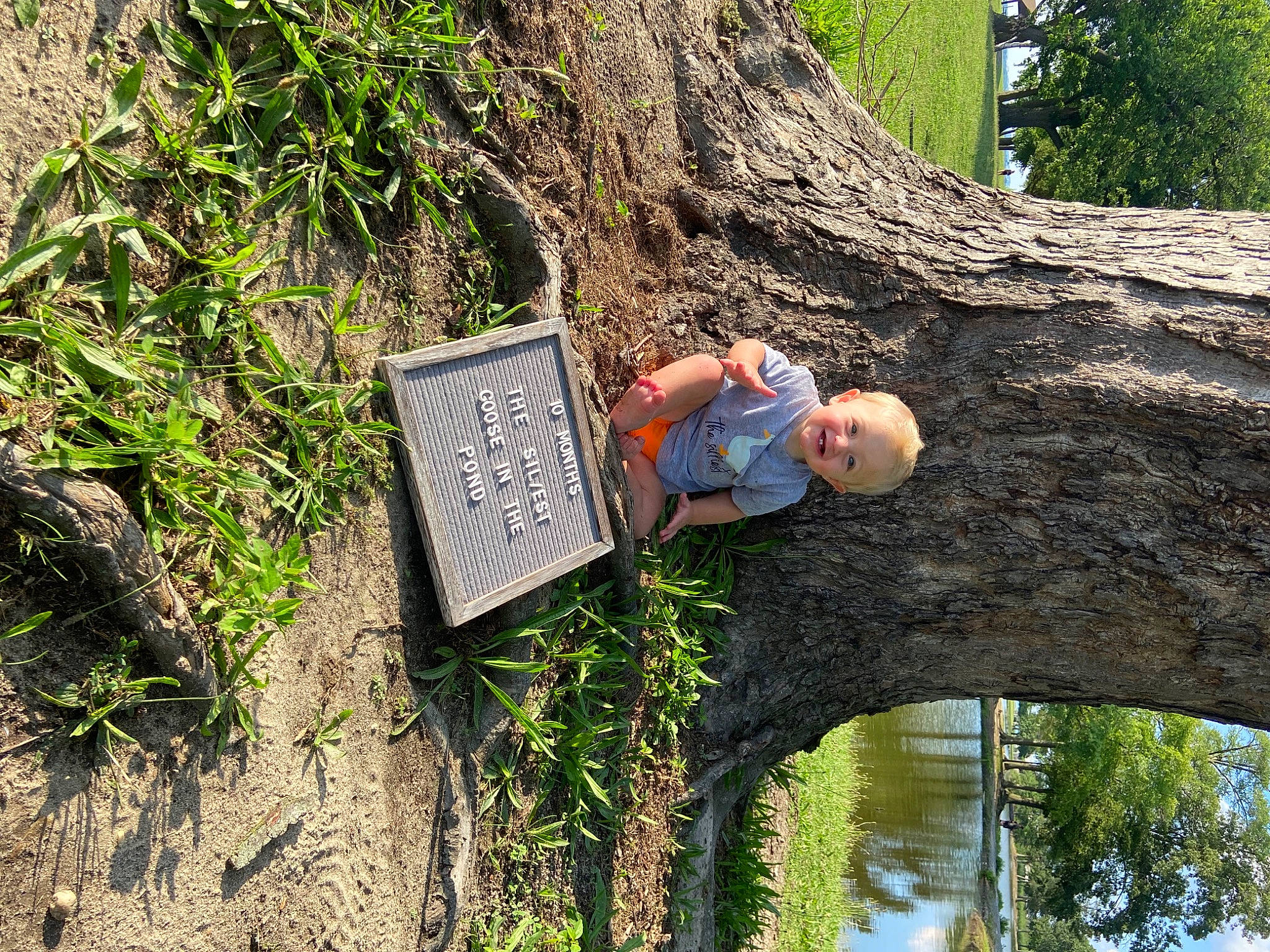 Emmitt joined the competition — help win amazing prizes! biome, botany, forest, fun, grass, groundcover, joy, lake, leaf, leisure, natural_environment, natural_landscape, people_in_nature, person, plant, rock, terrestrial_plant, tree, trunk, vegetation