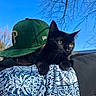 black_cat, cat, animal, pet, person, hat, green_hat, patterned_shirt, blue_sky, outdoor, nature, tree_branches, shoulder, close_up, daytime, portrait, fur, whiskers, ears, face