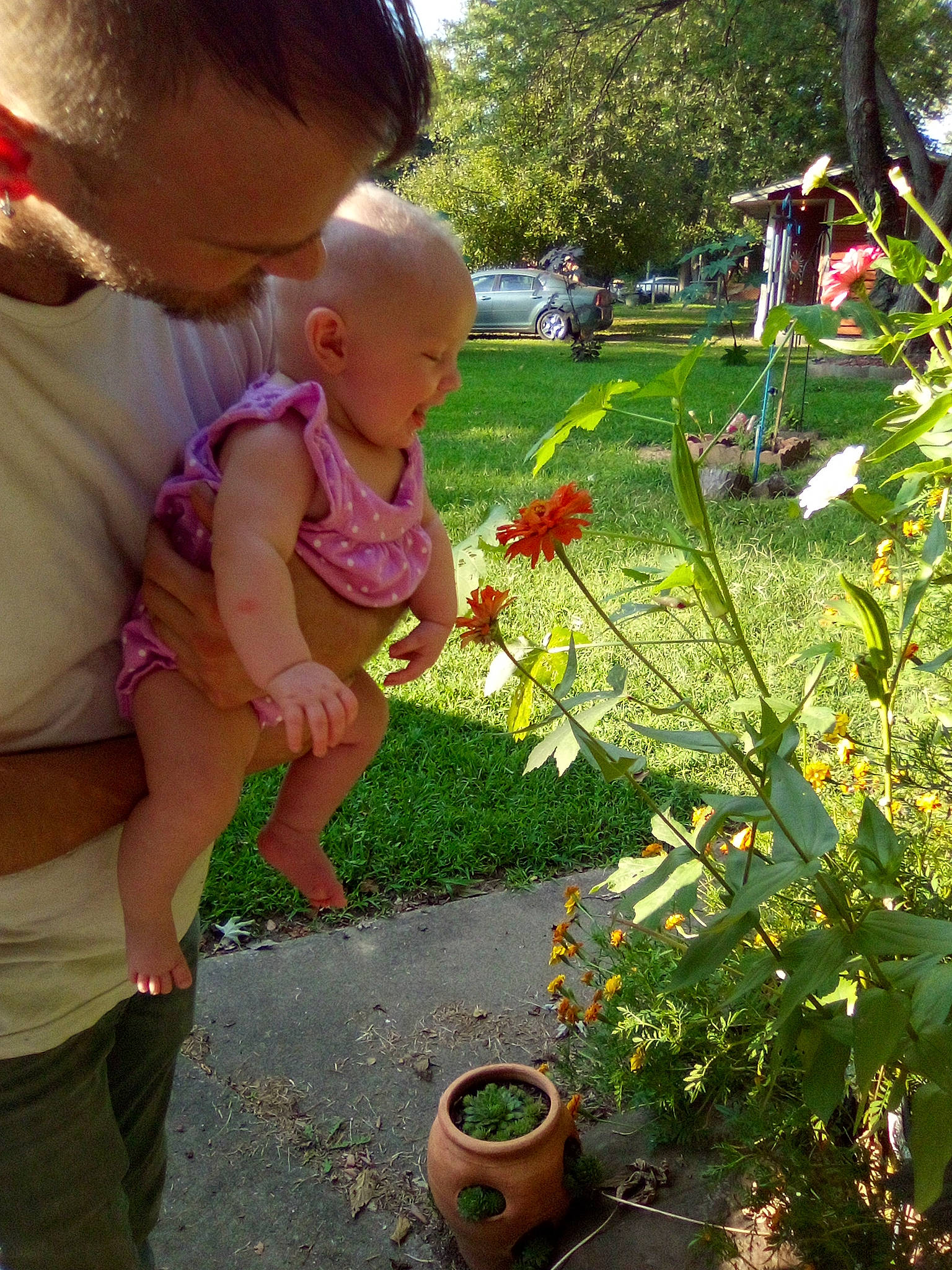 Breanna joined the competition — help win amazing prizes! annual_plant, baby, botany, child, flower, flower_arranging, flowering_plant, flowerpot, grass, green, happy, houseplant, people_in_nature, person, petal, plant, rose, shrub, toddler, tree