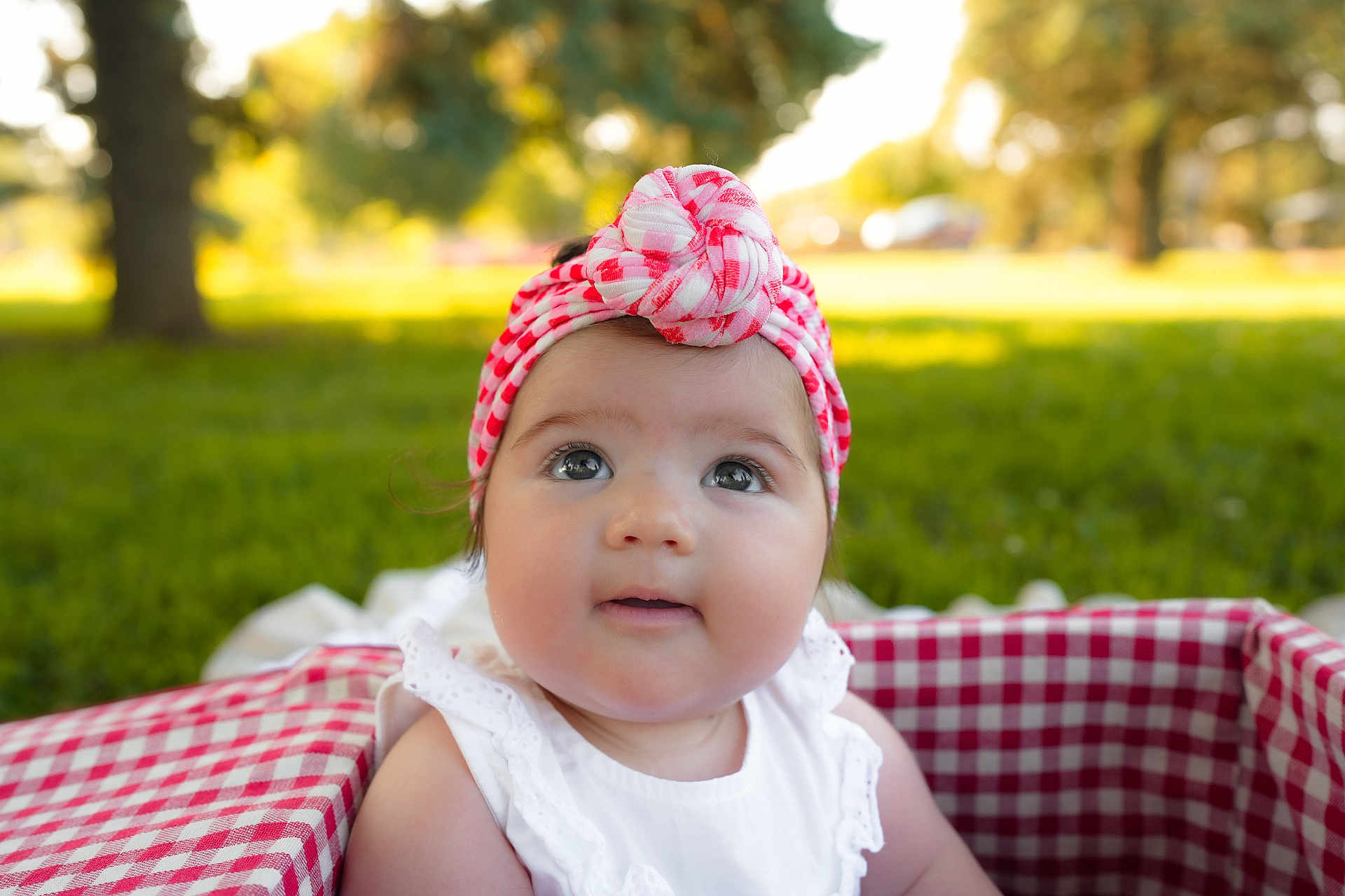 Charlotte is registered to the contest to win money with this photo: baby, infant, headband, pink, white, checkered, basket, outdoor, green_grass, trees, sunlight, portrait, cute, chubby_cheeks, child, summer, nature, closeup, happy, soft_focus