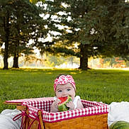 Charlotte is registered to the contest to win money with this photo: baby, child, watermelon, basket, picnic, headband, grass, outdoor, summer, trees, flower, greenery, checkered, cute, food, fruit, nature, sunlight, happy, playful