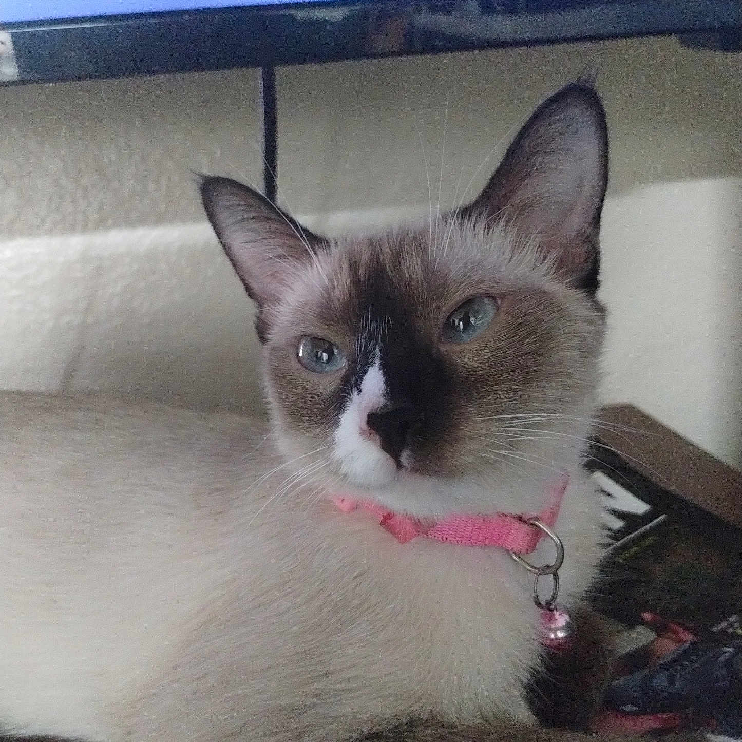 Nim