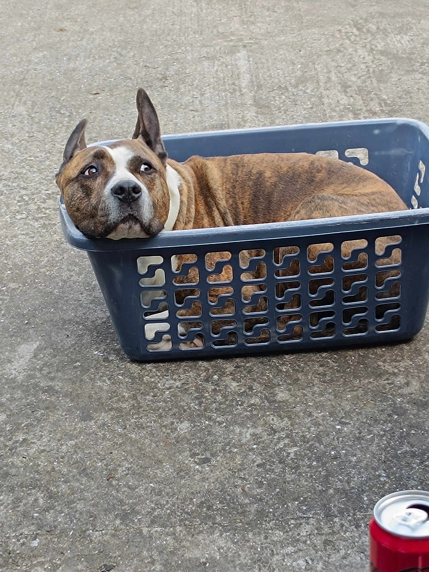 Laiko