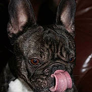 Guess participe au concours pour gagner de l'argent avec cette photo :