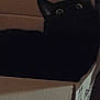 Abu joined the competition — help win amazing prizes! animal, black_cat, box, cardboard_box, cat, cozy, curious, cute, dark, ears, feline, home, indoor, mystery, pet, shadow, sitting, stealthy, whiskers, wide_eyes