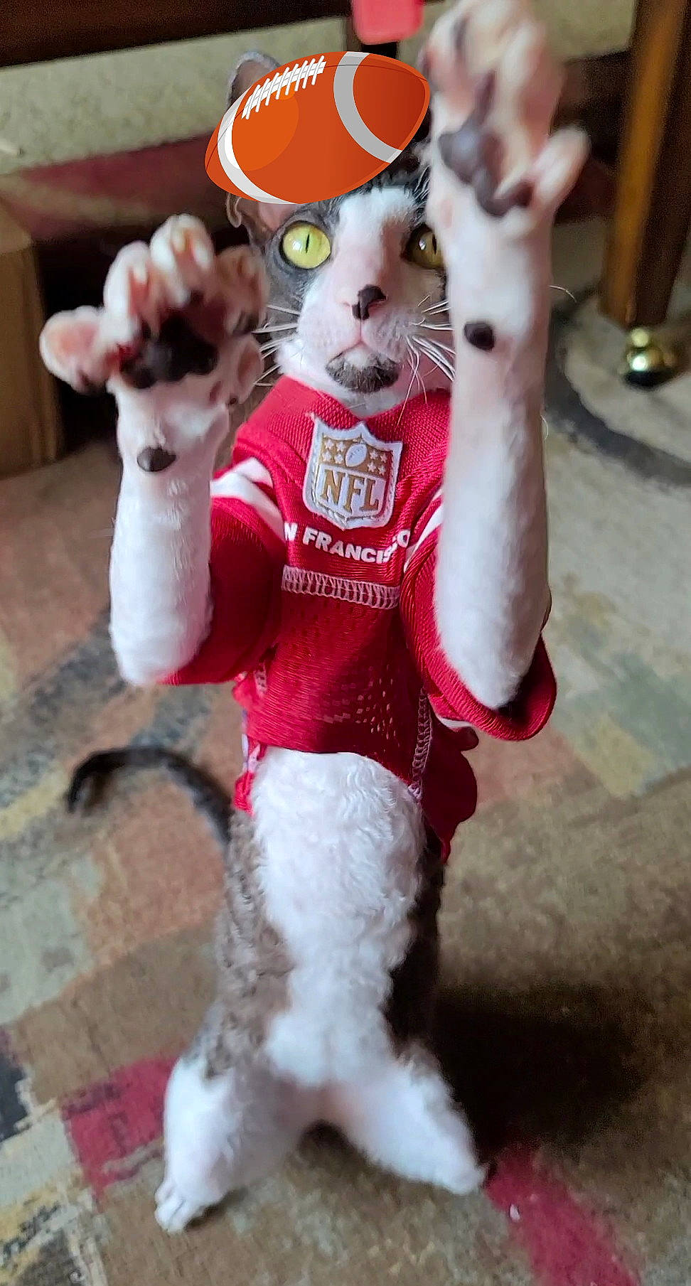 Rudy is registered to the contest to win money with this photo: costume, event, felidae, fictional_character, fur, fur_clothing, gesture, happy, hat, mammal, mascot, pink, plush, snapshot, snout, stuffed_toy, tail, toy, vertebrate, whiskers