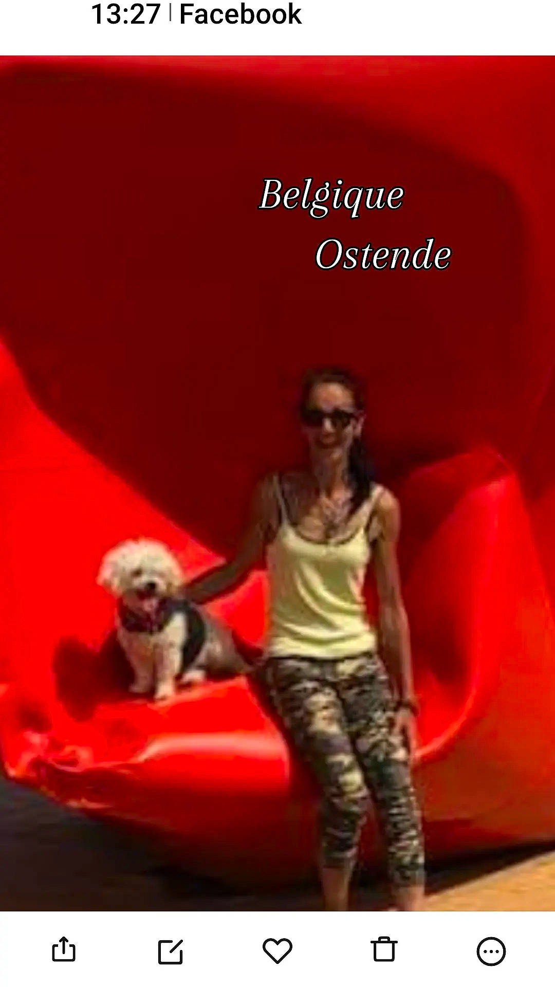 Bahiya participe au concours pour gagner de l'argent avec cette photo : carnivore, companion_dog, dog, dog_breed, eyewear, fun, glasses, goggles, happy, hat, leisure, magenta, photo_caption, recreation, red, shorts, sitting, sunglasses, thigh, toy_dog