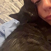 Spencer Latrell joined the competition — help win amazing prizes! cat, black_cat, person, face, portrait, cuddling, bed, bedroom, indoor, selfie, close_up, fur, whiskers, ears, sleepy, snuggling, pet, companion, blanket, cozy
