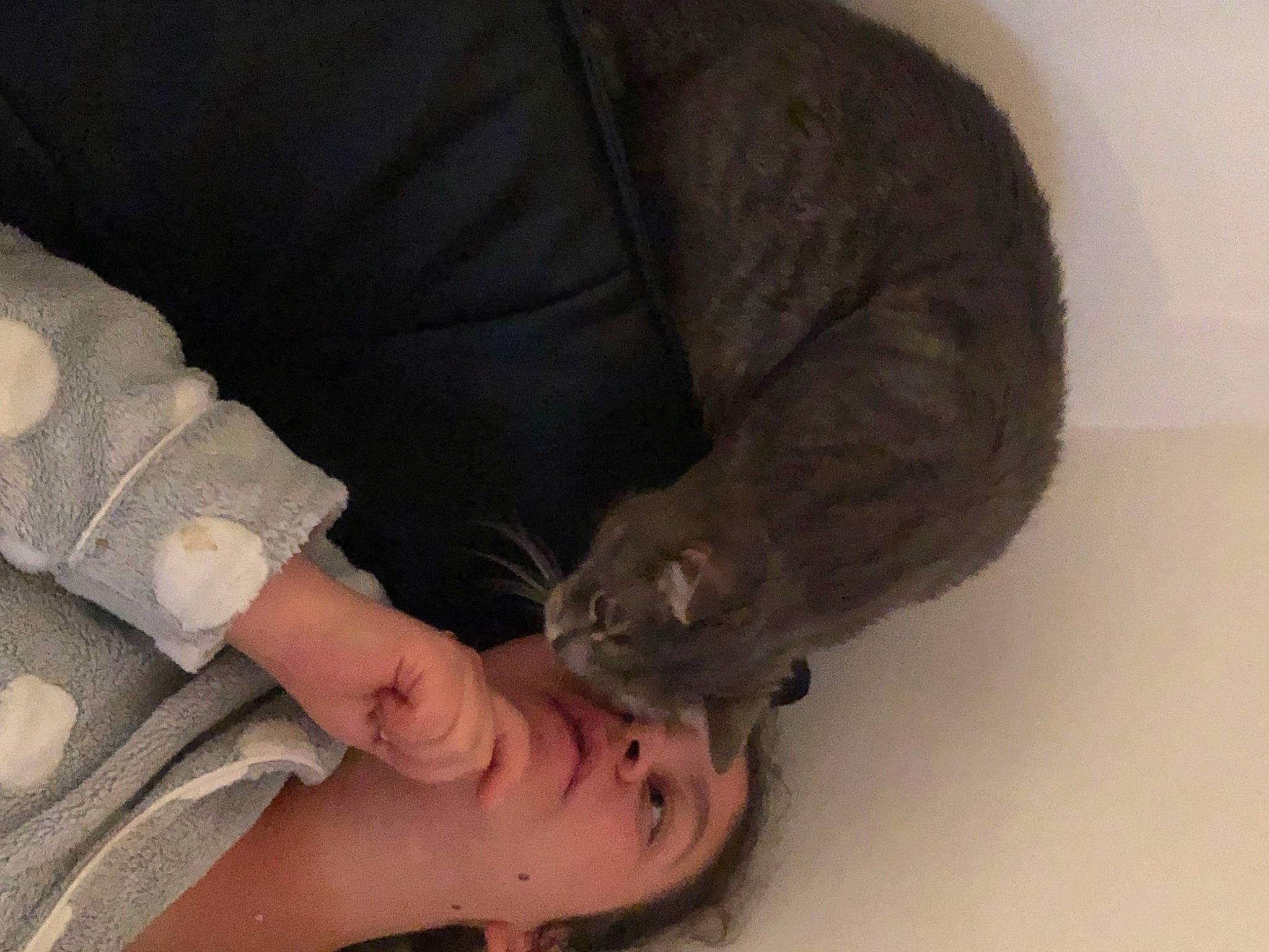 Milou participe au concours pour gagner de l'argent avec cette photo : carnivore, cat, comfort, elbow, fawn, felidae, finger, foot, gesture, human_leg, knee, lap, leg, nail, small_to_medium_sized_cats, sunglasses, tail, thigh, whiskers, wrist